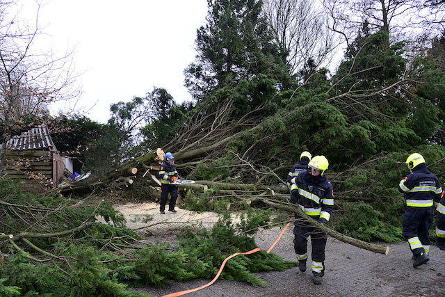 2018/14/20180118-10u43 GB 012 Stormschade Herbergh.jpg